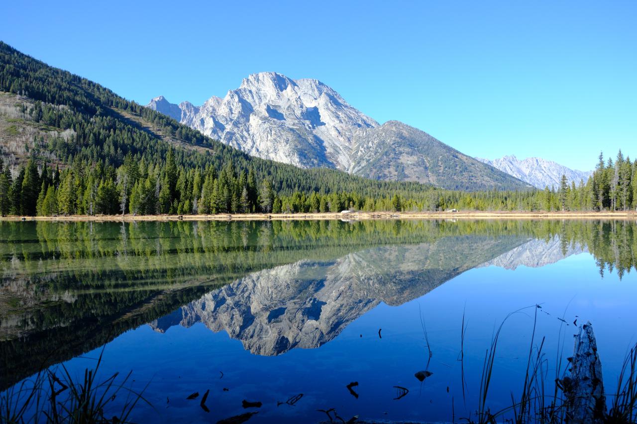 A still lake reflects the image of the mountains behind it. In the near foreground are various water plants.
