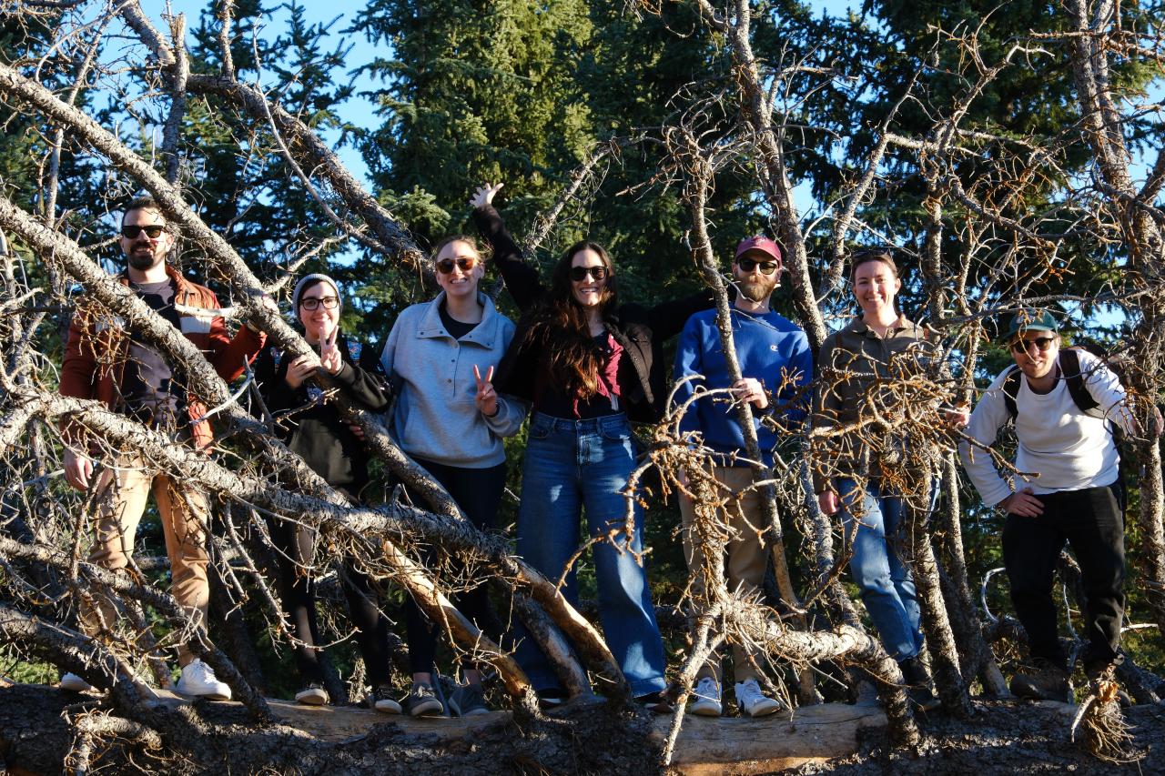 Seven people almost all wearing sunglasses standing on a fallen tree. The tree has numerous branches off of the main trunk. 
