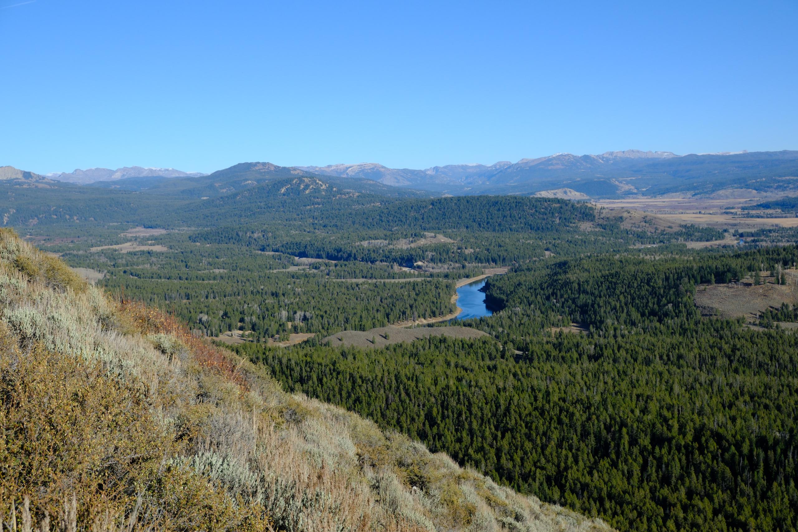 A broad landscape perspective showing a river running through a thick forest.
