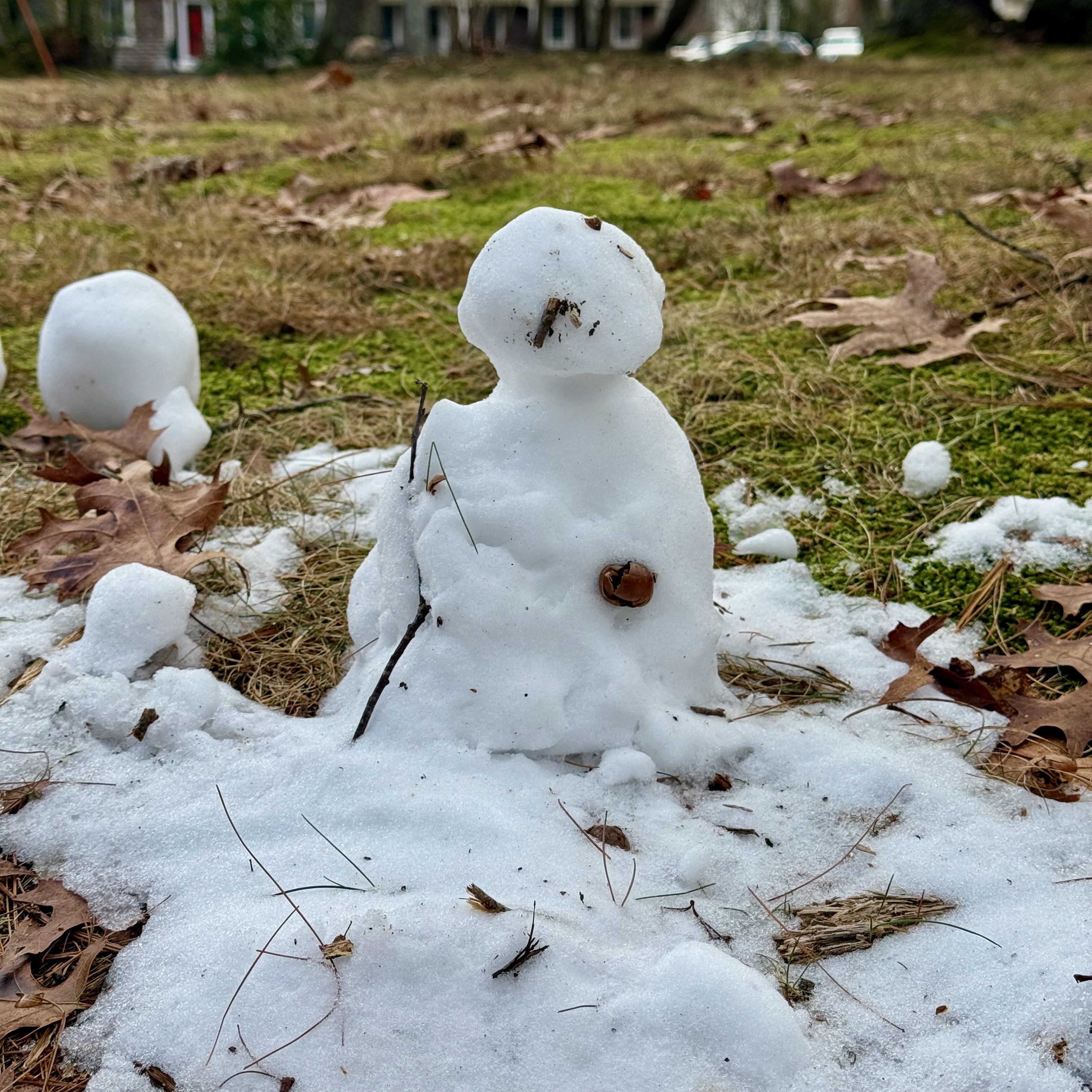 The tiniest snow friend