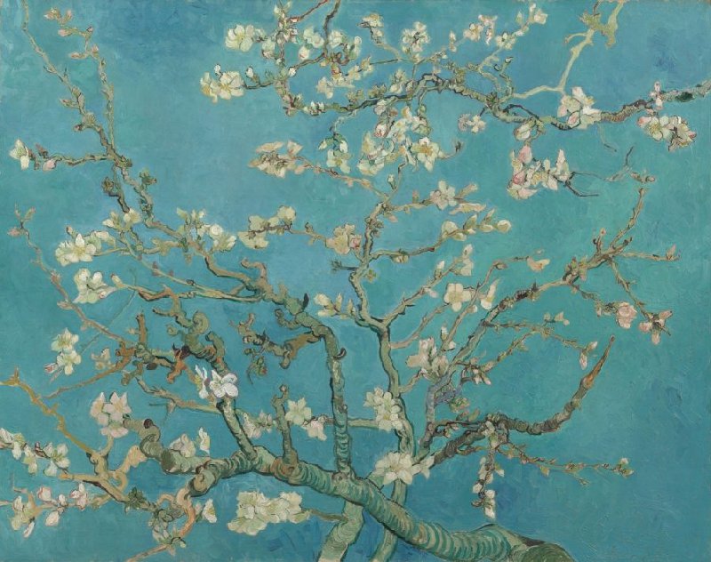 [Almond Blossoms](https://www.vangoghmuseum.nl/en/collection/s0176V1962) by Vincent Van Gogh. 1890.
