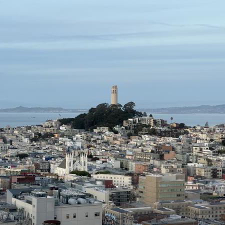 A round creamy white tower stands atop a hill, surrounded by trees. A dense urban environment surrounds the hilltop. In the distance, the San Francisco Bay and Berkeley Hill.
