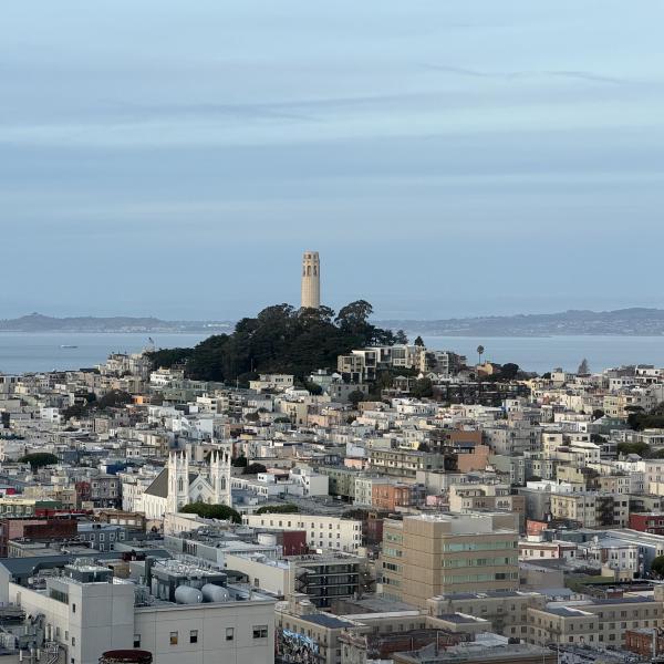 A round creamy white tower stands atop a hill, surrounded by trees. A dense urban environment surrounds the hilltop. In the distance, the San Francisco Bay and Berkeley Hill.
