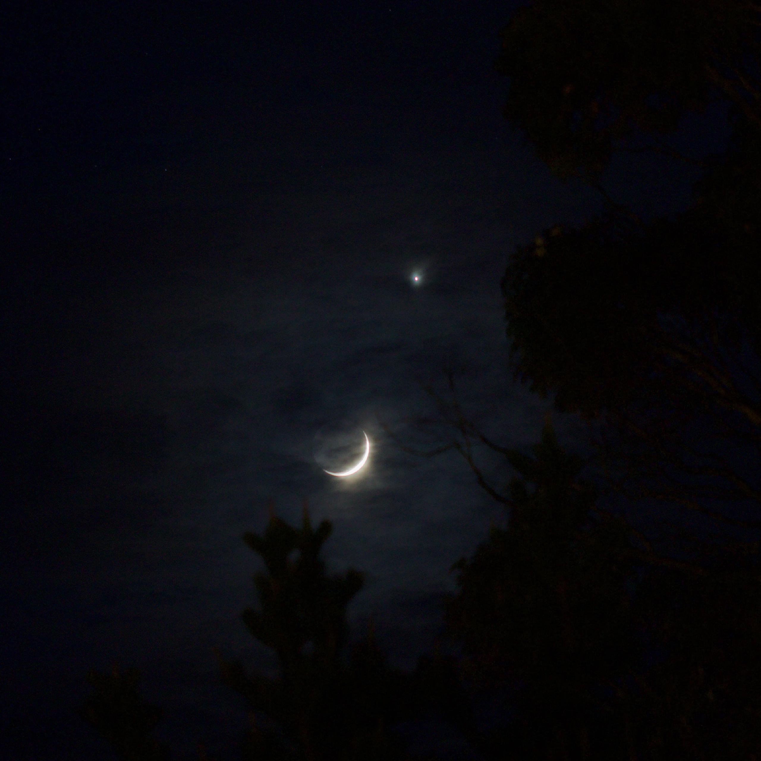 A thin crescent moon and the bright dot of Venus shine through thin clouds. In the foreground, you can just make out the shapes of trees.
