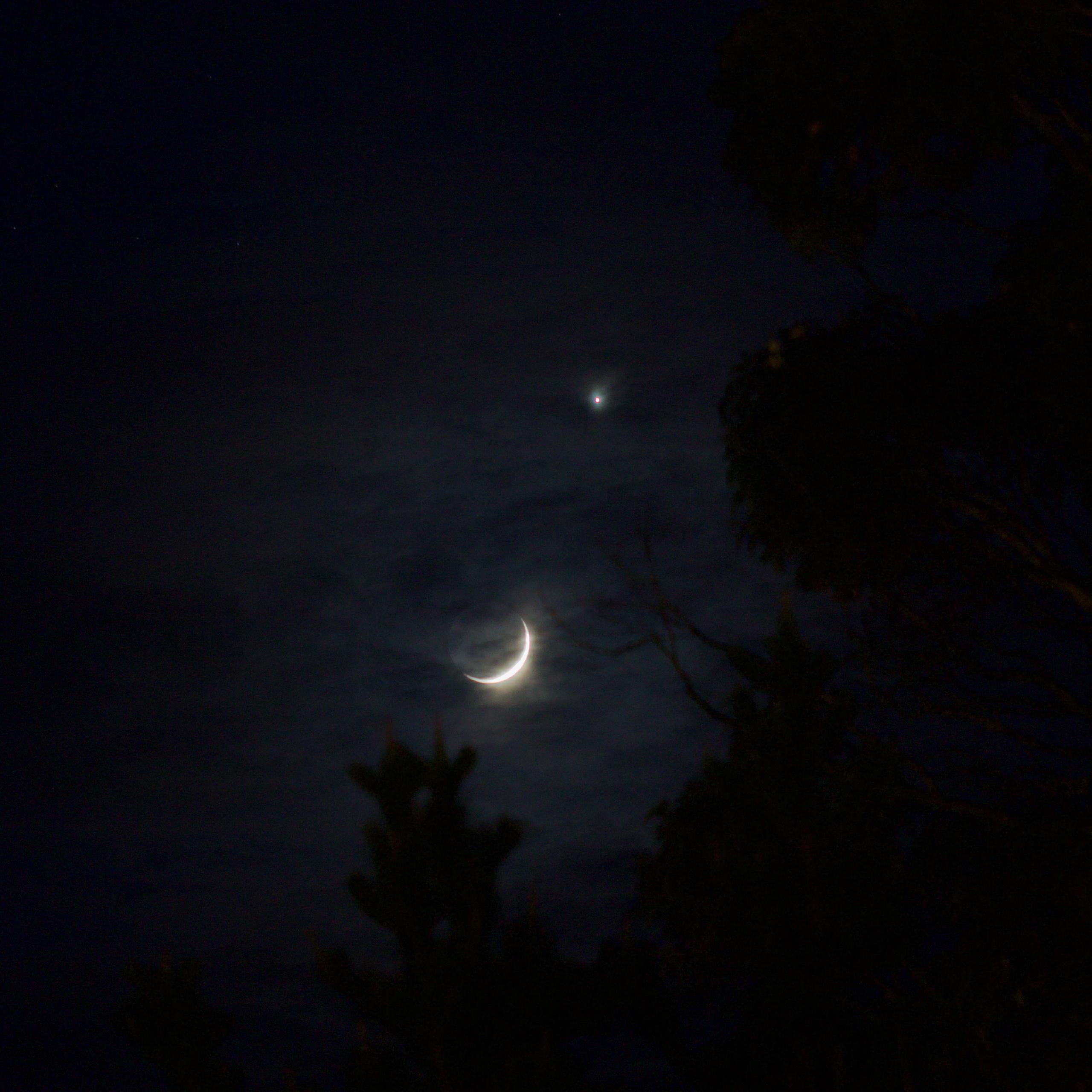 A thin crescent moon and the bright dot of Venus shine through thin clouds. In the foreground, you can just make out the shapes of trees.
