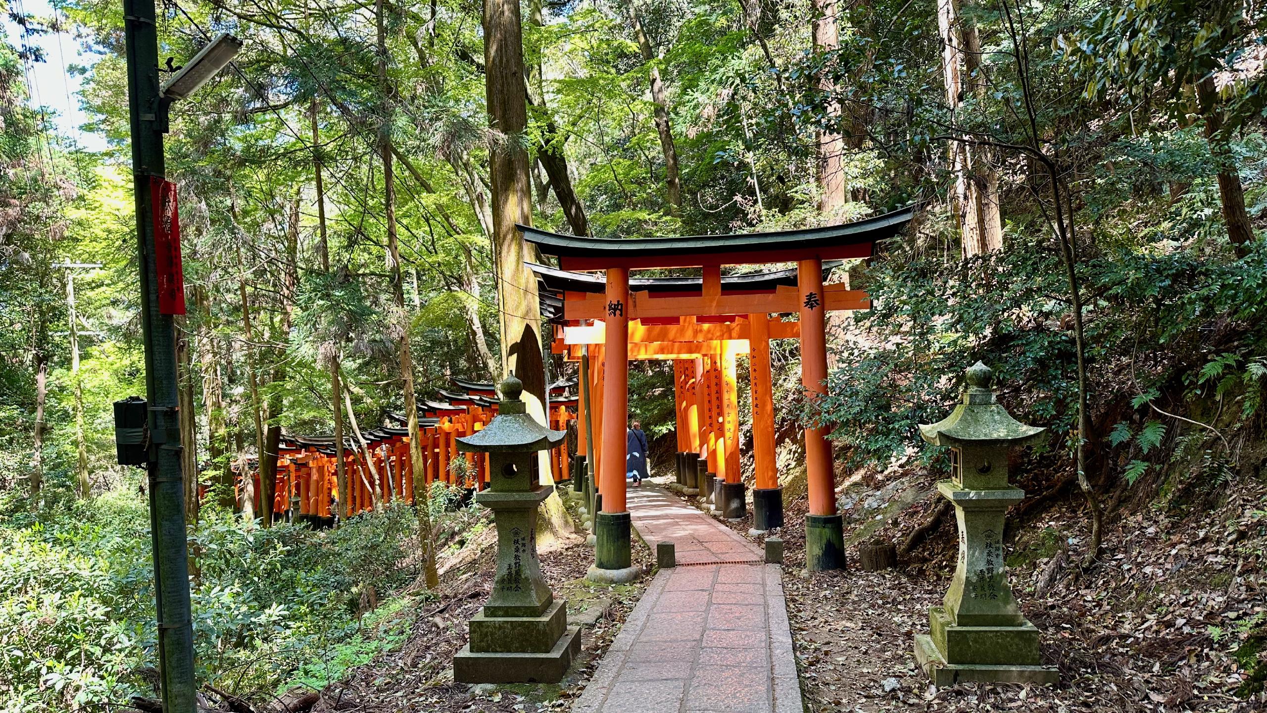 A torii lined path in Fushimi Inari-Taisha